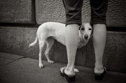 电话攻击